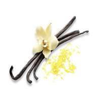 Vanilla